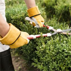 Gartenarbeit undUmweltdienste