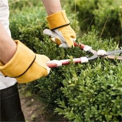 Gartenarbeit undUmweltdienste
